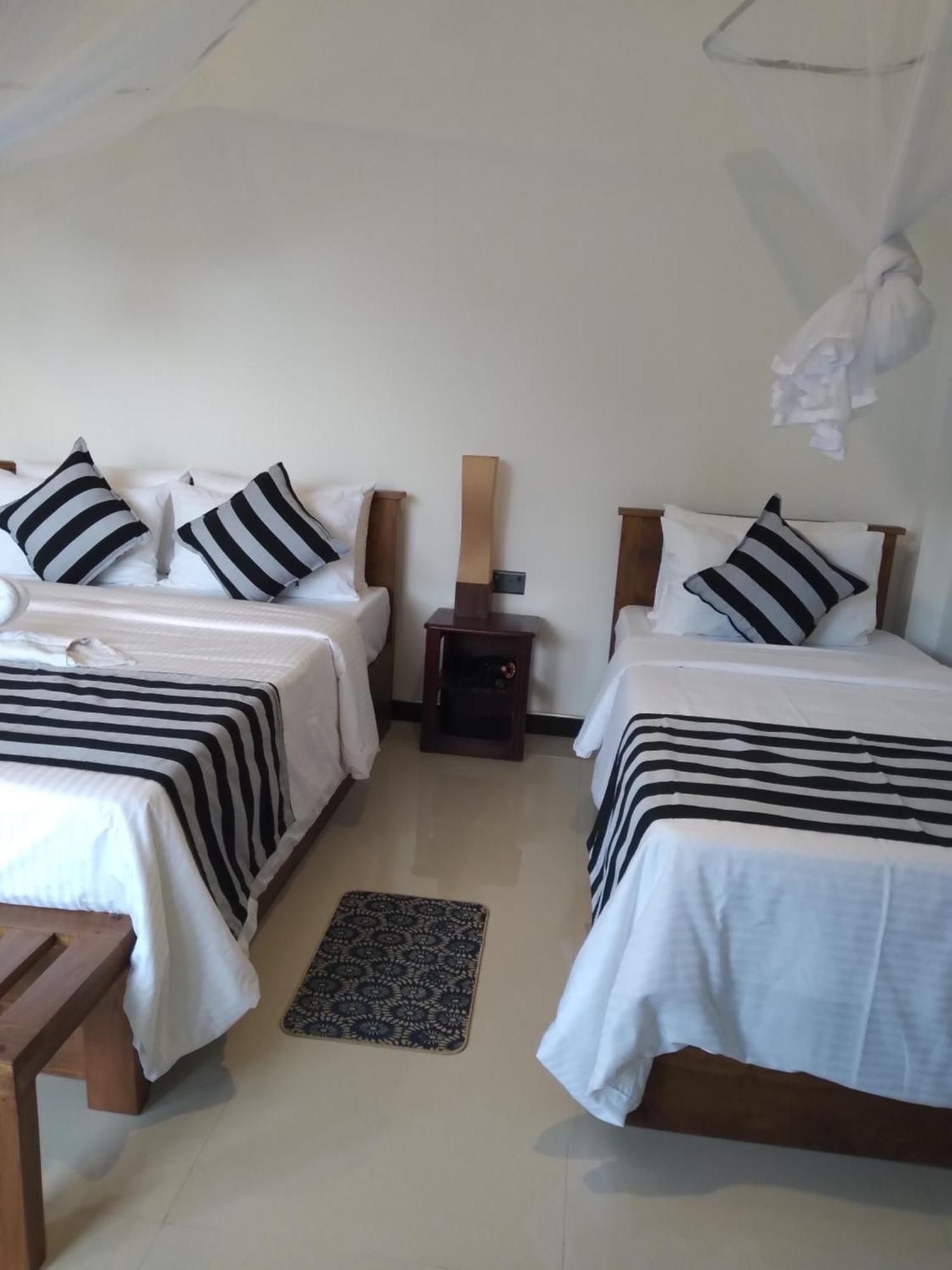 אלה Cloudy Hill Cottage מראה חיצוני תמונה