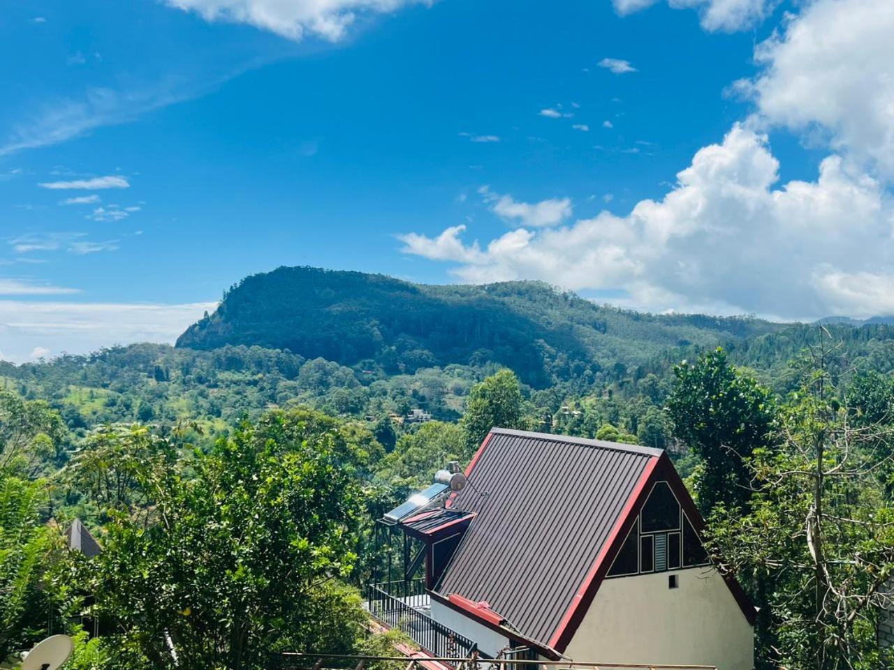 אלה Cloudy Hill Cottage מראה חיצוני תמונה